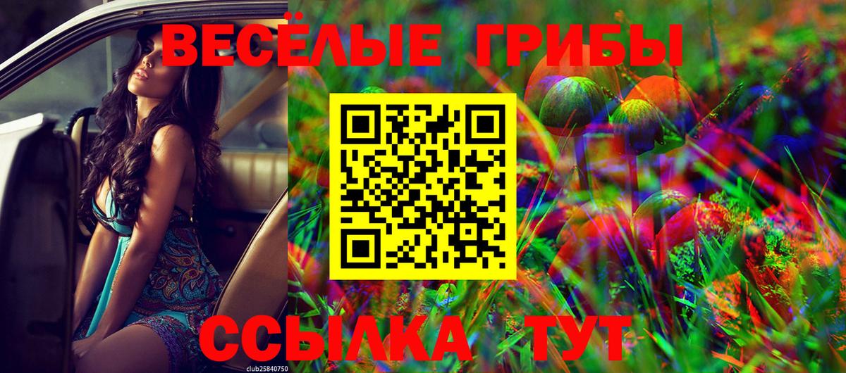 Амурск  Псилоцибиновые грибы GOLDEN TEACHER  наркота  Вход с VPN 